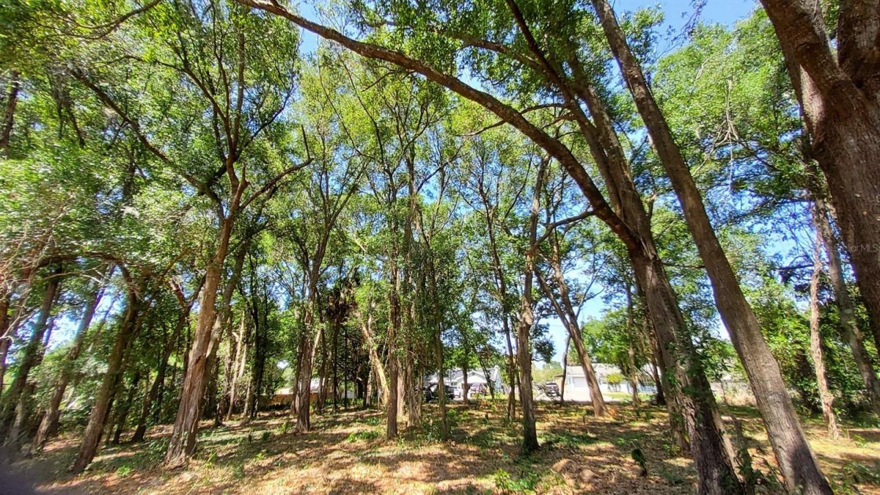 25050 Algonquin Avenue , Mount Plymouth, FL 32776 Photo