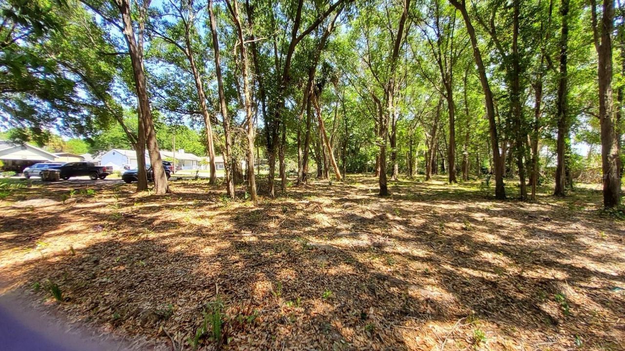 25050 Algonquin Avenue , Mount Plymouth, FL 32776 Photo