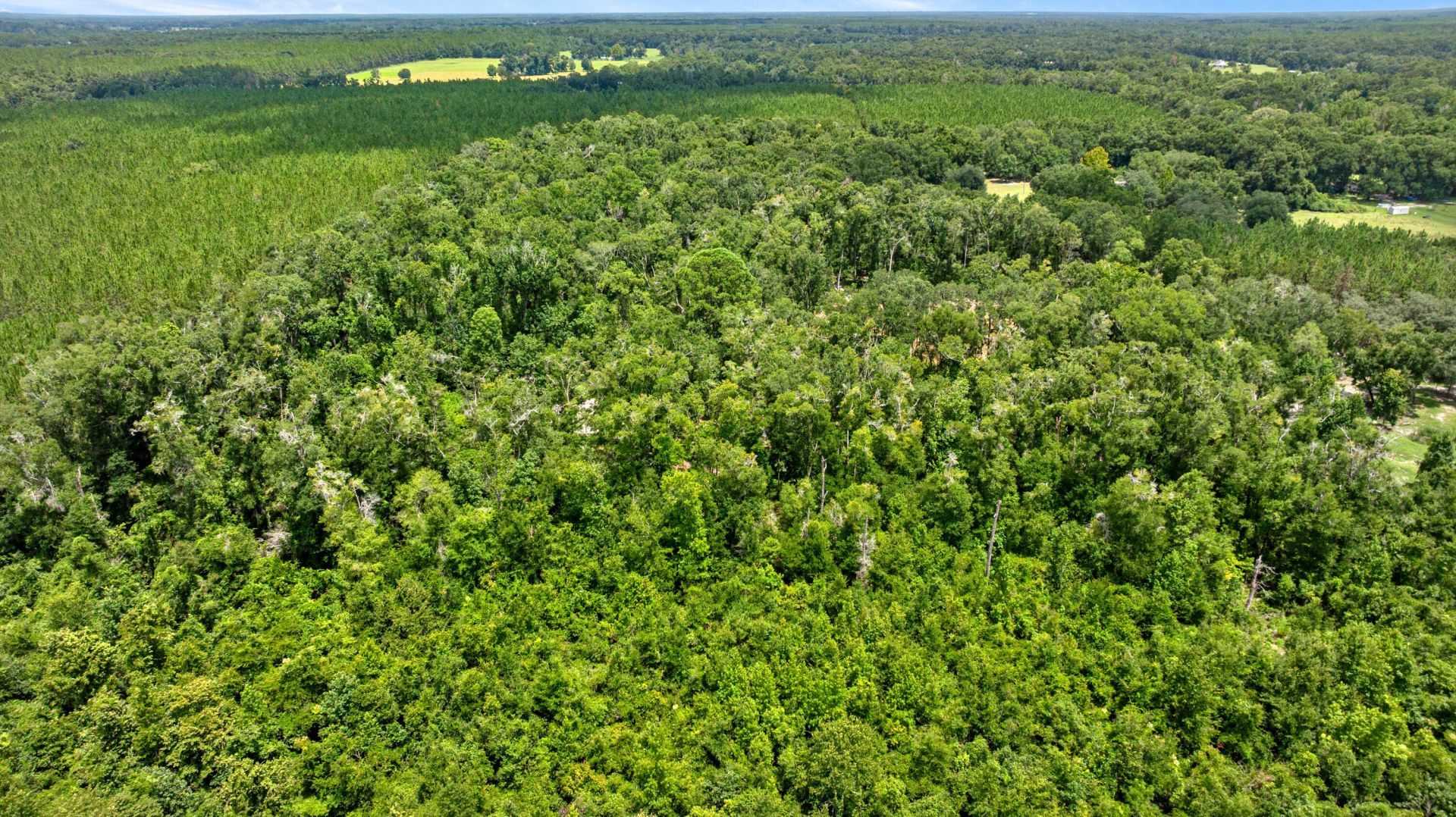 694 SW Quarter Lane, Fort White, FL 32038 Photo