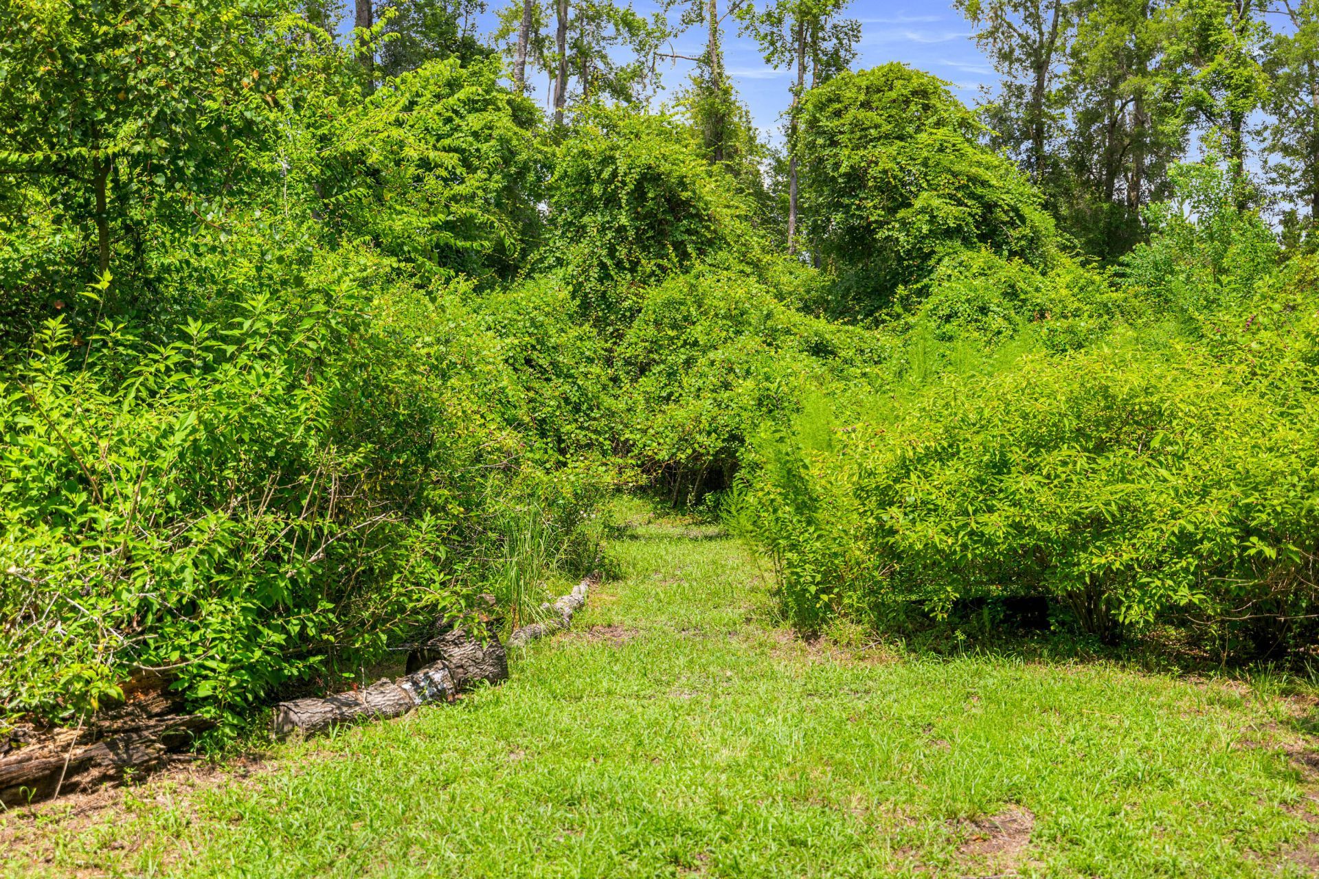 694 SW Quarter Lane, Fort White, FL 32038 Photo