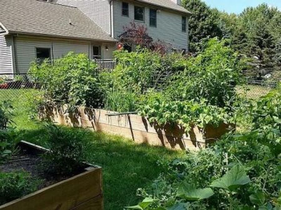 Property Image 51