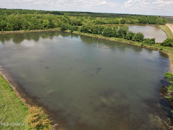 Jenkins Road, Alligator, MS 38720