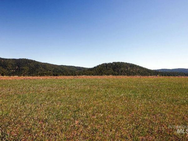 76 Willey Lane, McCall, ID 83638