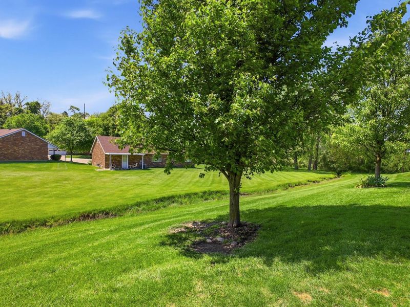 531 Argonne Avenue, Springfield, OH 45503 Photo 31