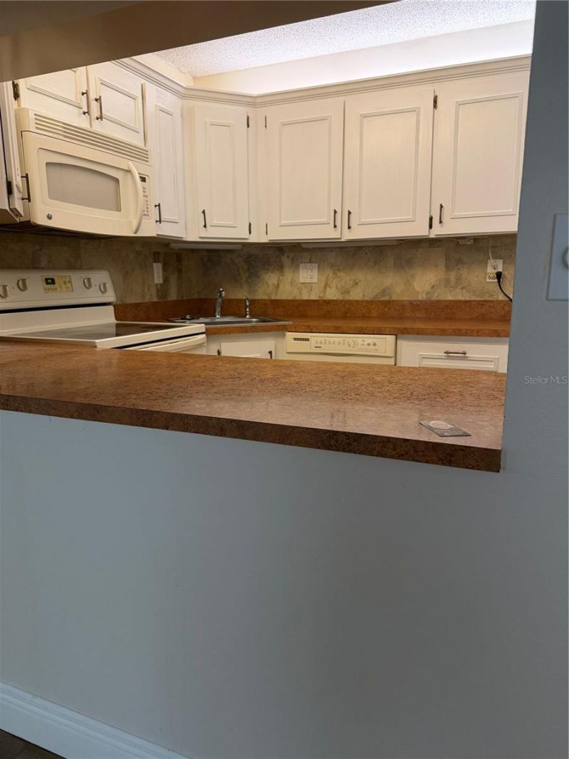 2687 Pine Ridge Way S, Unit H1, Palm Harbor, FL 34684 Photo
