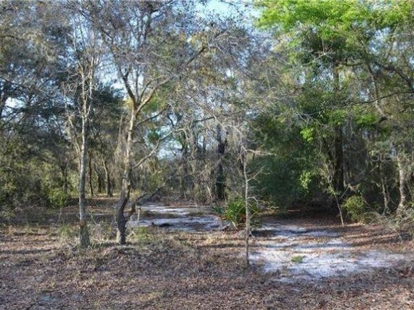 GRANDVILLE , HUDSON, FL 34669