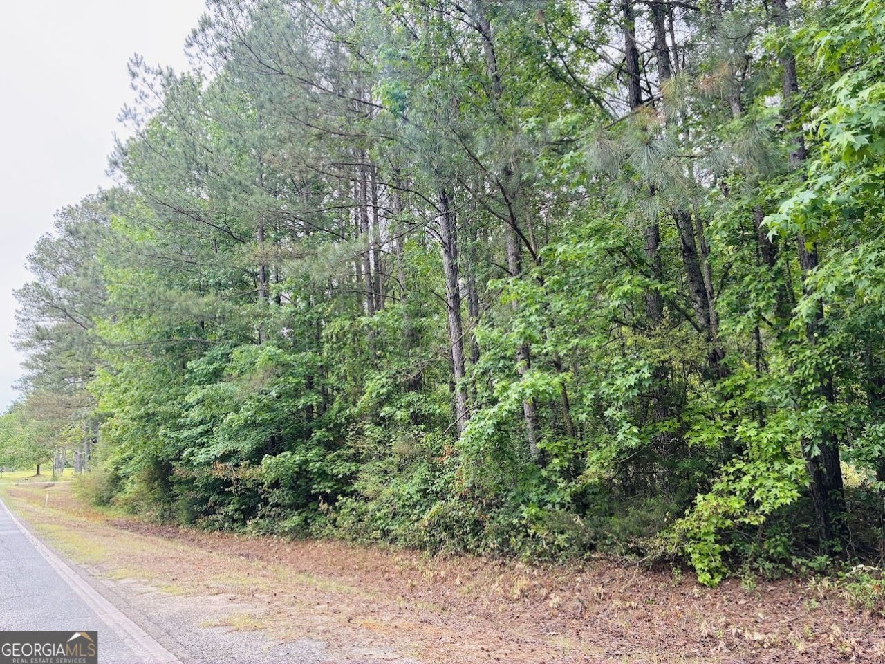0 Lee Lane, Lot #LOT 1, Greenville, GA 30222 Main Photo
