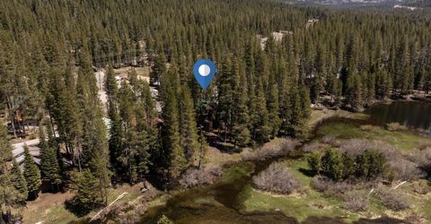 50675 Conifer, Soda Springs, CA 95728 Photo