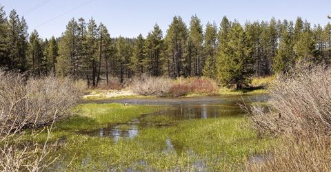 50675 Conifer, Soda Springs, CA 95728 Photo