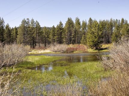 50675 Conifer, Soda Springs, CA 95728 Photo
