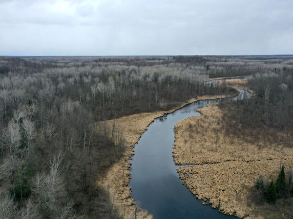 3854 Rasmussen Rd. , Floodwood, MN 55798