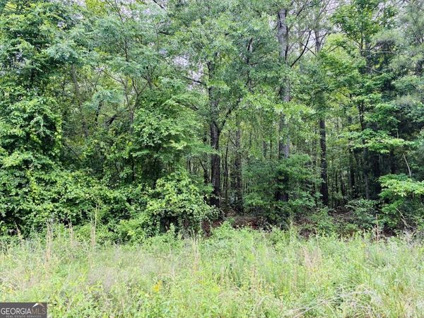 0 Lee Lane, Greenville, GA 30222