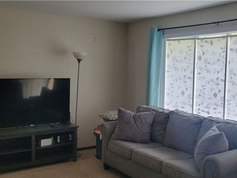 157 Hemlock Drive, Elyria, OH 44035 Photo 8