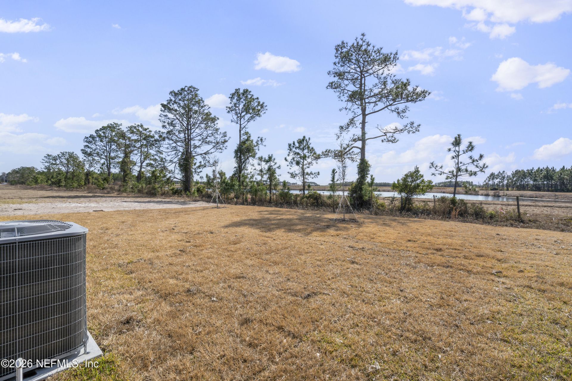 3326 Meadow Ridge Place, Green Cove Springs, FL 32043 Photo