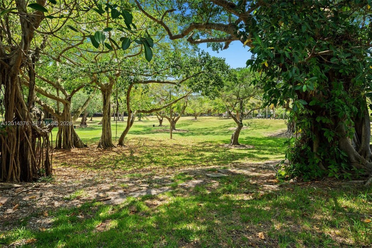 4091 Matheson Ave , Miami, FL 33133 Photo