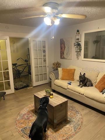 1204 38th Avenue N, Saint Petersburg, FL 33704 Photo