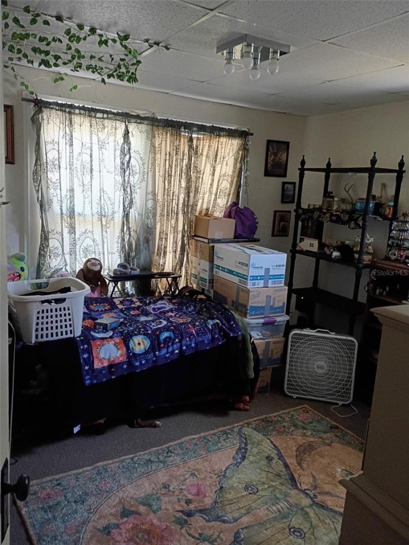 1204 38th Avenue N, Saint Petersburg, FL 33704 Photo