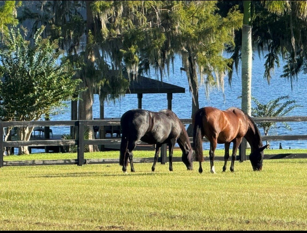 746 Lake Mills Road, Oviedo, FL 32766 Photo