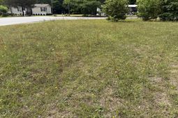 4616 Easy Street photo 4