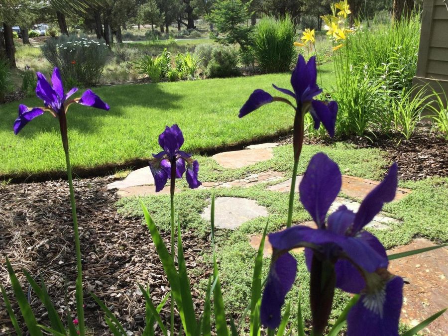 Property Image 85