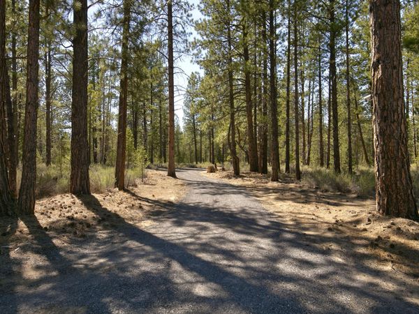 50750 Deer Forest Drive, La Pine, OR 97739