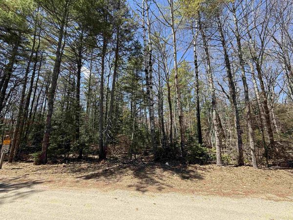 Lot 14 Partridgeberry Circle, Unit 14, Tuftonboro, NH 03816