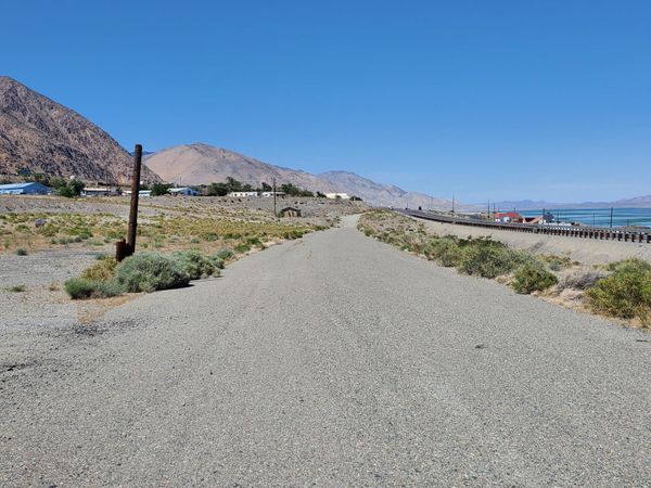 00 Golden Willow & Cottonwood, Walker Lake, NV 89415