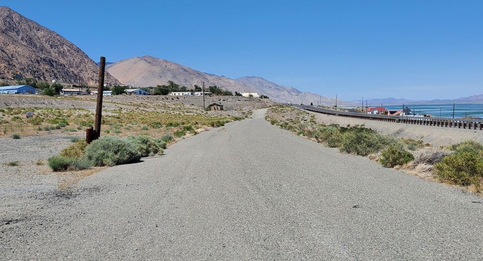 00 Golden Willow & Cottonwood, Walker Lake, NV 89415 Photo