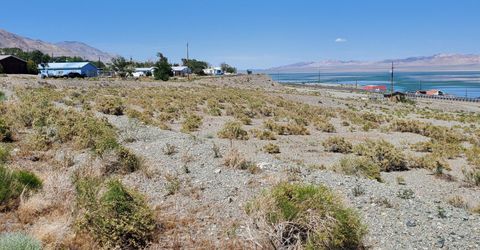 00 Golden Willow & Cottonwood, Walker Lake, NV 89415 Photo