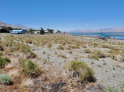 00 Golden Willow & Cottonwood, Walker Lake, NV 89415 Photo