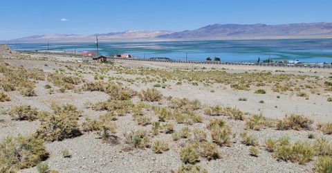 00 Golden Willow & Cottonwood, Walker Lake, NV 89415 Photo