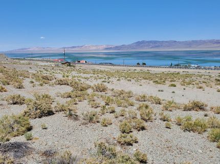 00 Golden Willow & Cottonwood, Walker Lake, NV 89415 Photo