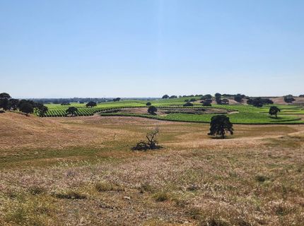 22601 N Johnson Rd, Clements, CA 95227 Photo