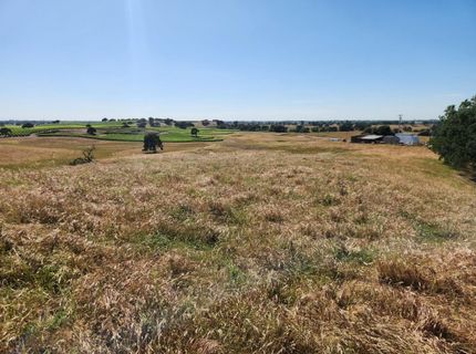 22601 N Johnson Rd, Clements, CA 95227 Photo