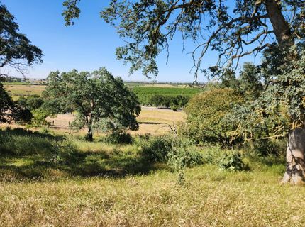 22601 N Johnson Rd, Clements, CA 95227 Photo