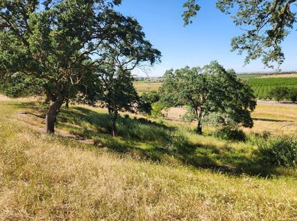 22601 N Johnson Rd, Clements, CA 95227 Photo