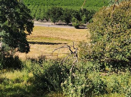 22601 N Johnson Rd, Clements, CA 95227 Photo