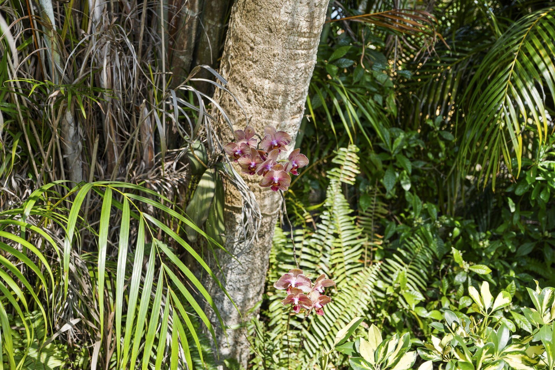 207 Cardinal Trail, Stuart, FL 34997 Photo