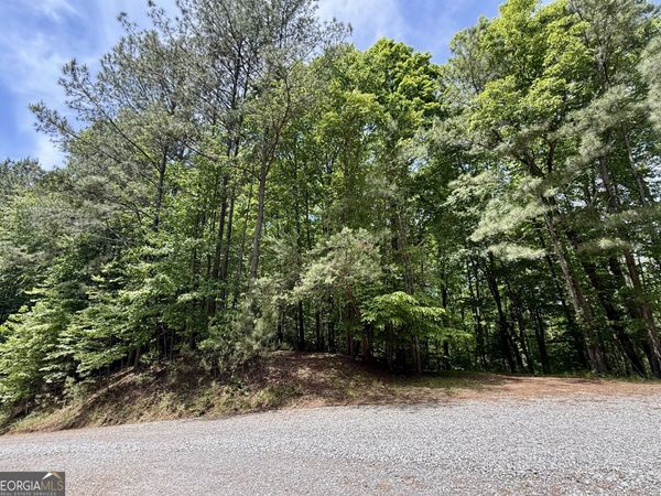 0 Nectar Lane, Ellijay, GA 30540