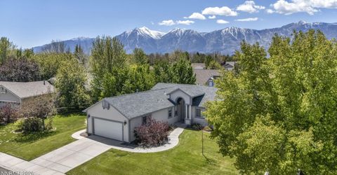 1778 Bougainvillea Drive, Minden, NV 89423 Photo