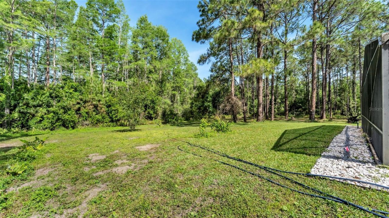13409 Sweet Hill Road , Polk City, FL 33868 Photo