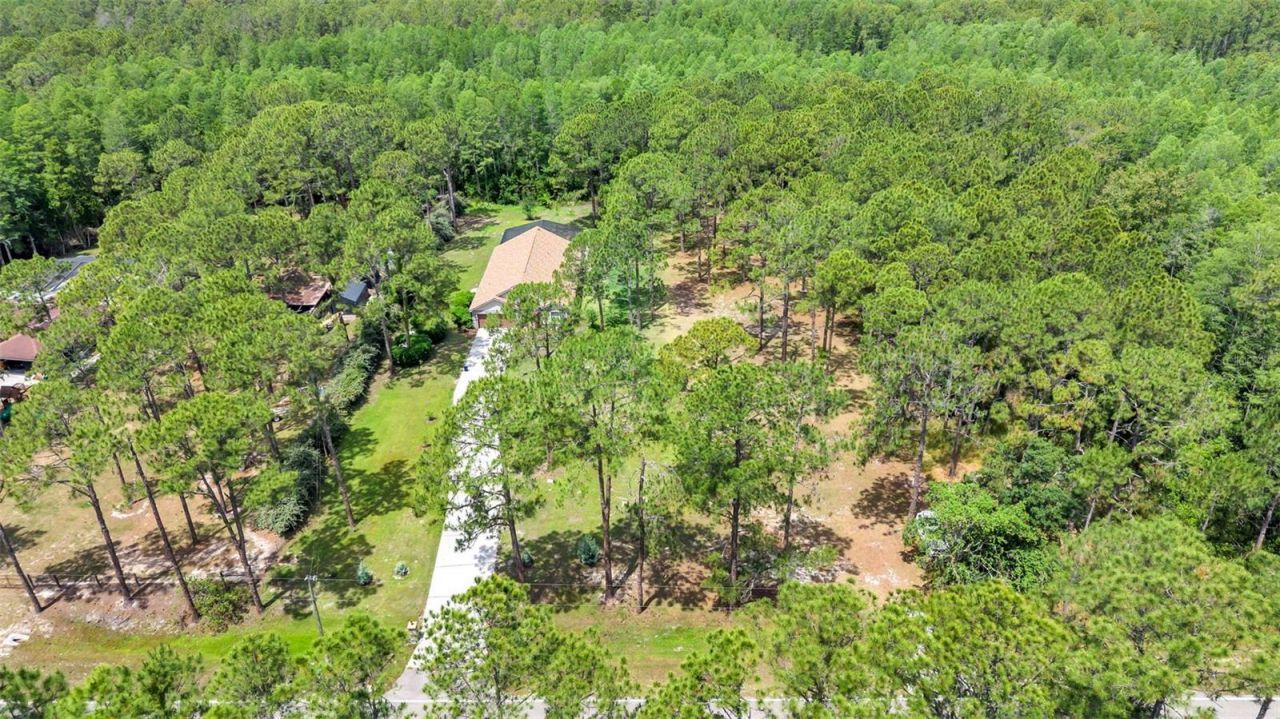 13409 Sweet Hill Road , Polk City, FL 33868 Photo