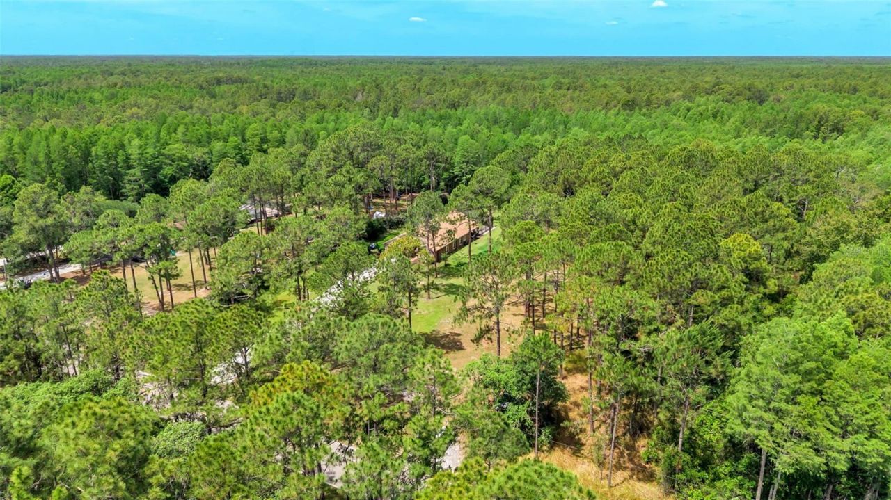 13409 Sweet Hill Road , Polk City, FL 33868 Photo