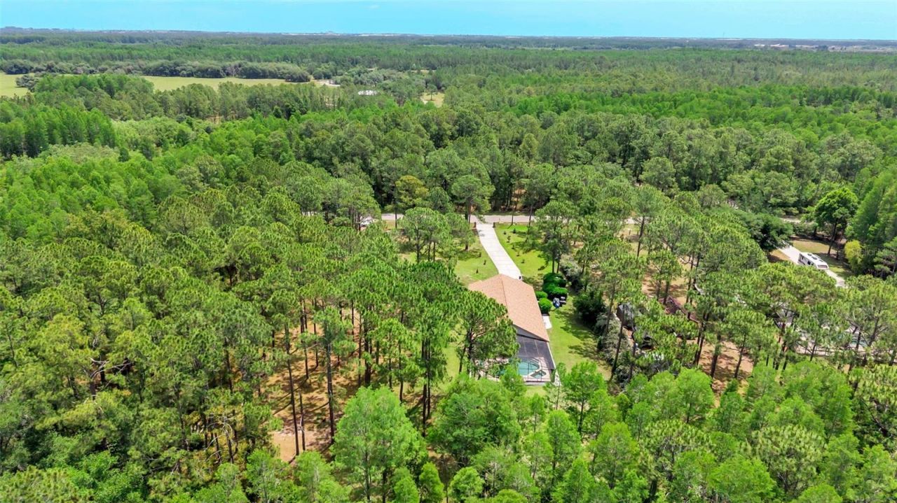 13409 Sweet Hill Road , Polk City, FL 33868 Photo