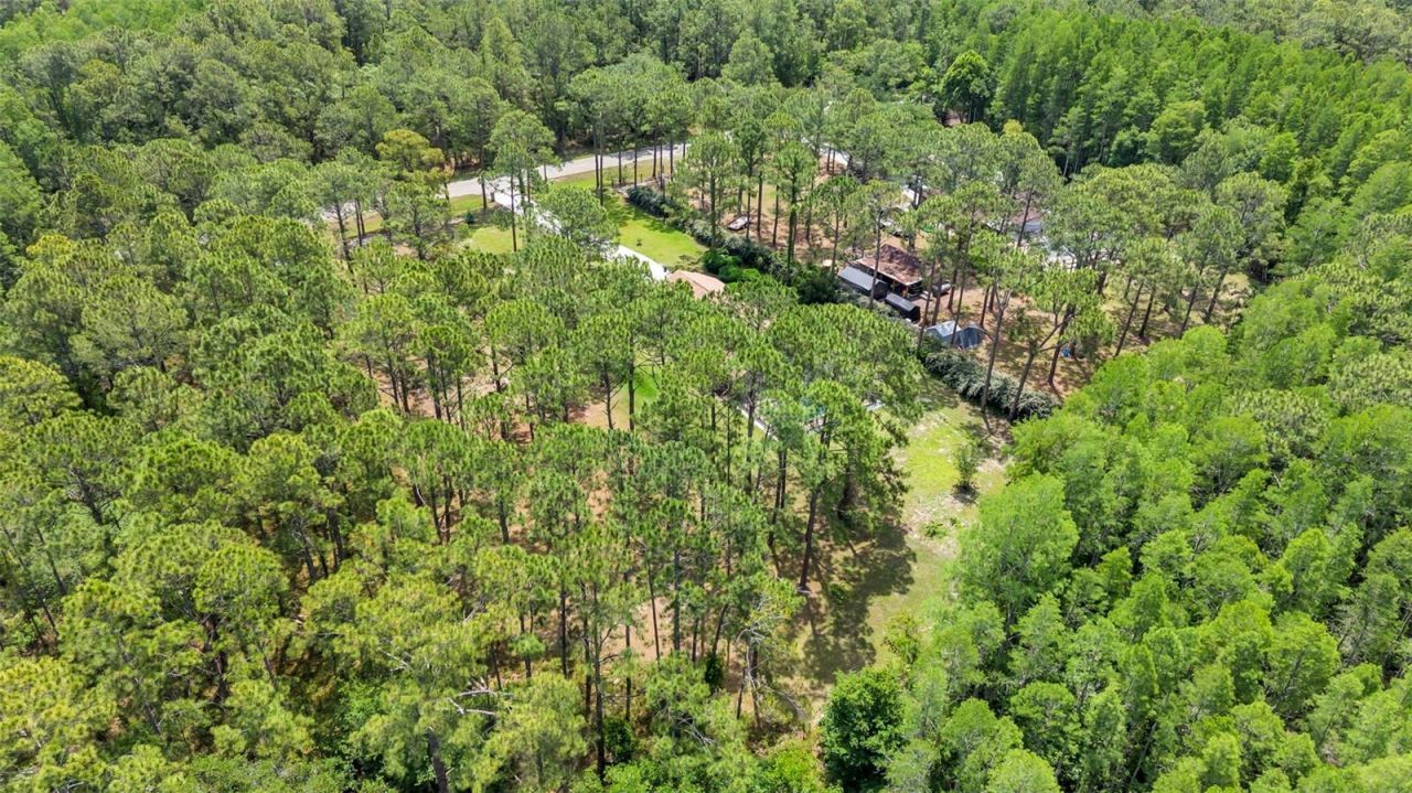 13409 Sweet Hill Road , Polk City, FL 33868 Photo