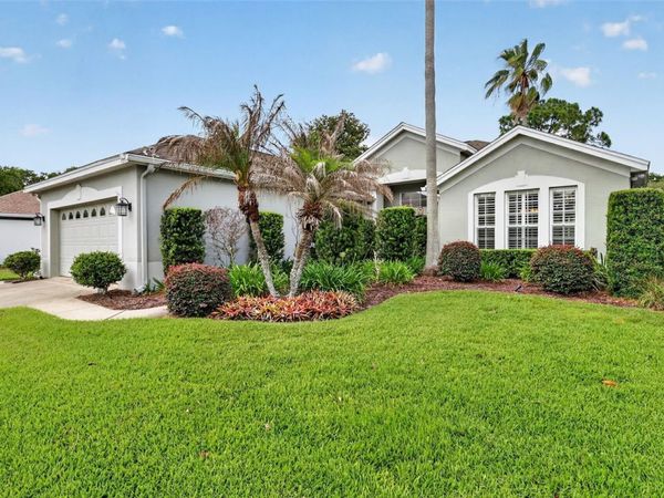 8011 PINE HOLLOW DRIVE , MOUNT DORA, FL 32757