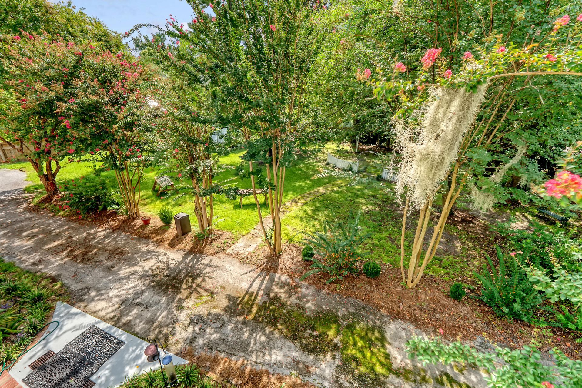  Photo 80