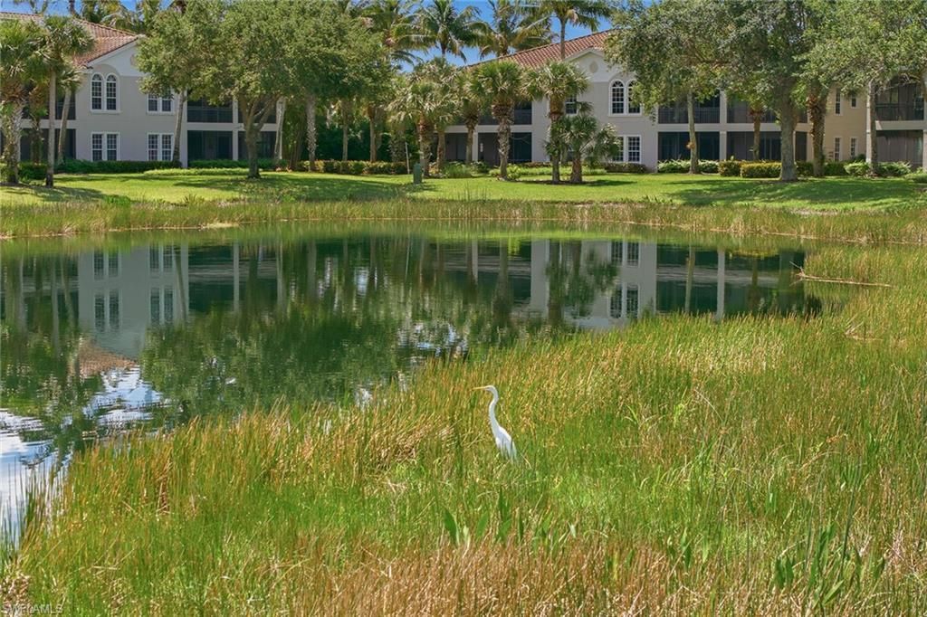 3176 Serena Ln, Unit 202, Naples, FL 34114 Photo