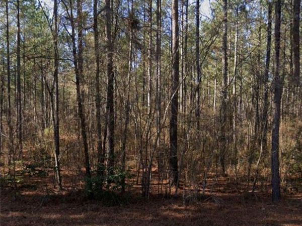 McBryde Street, Linden, NC 28356