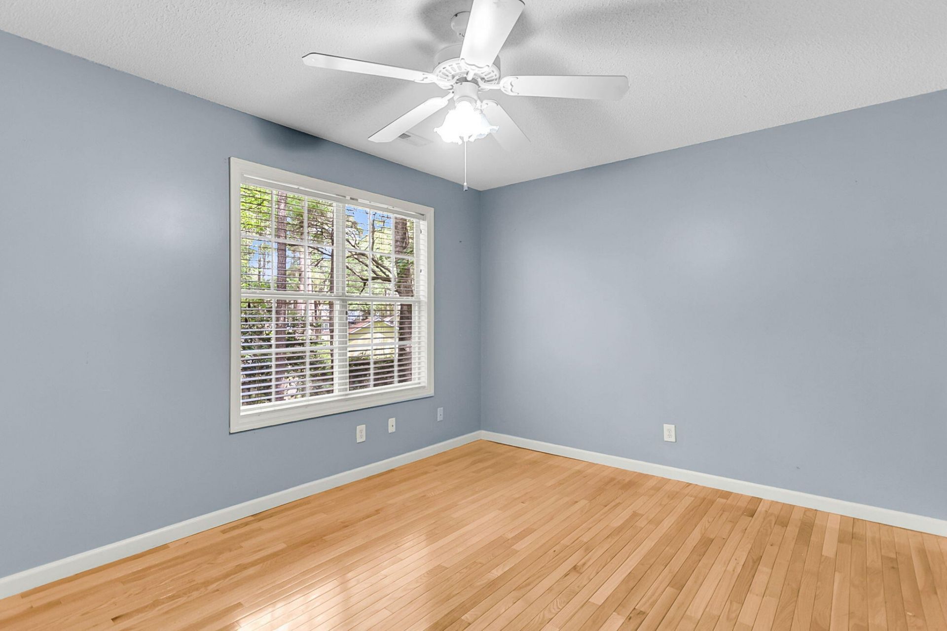 109 Hulton Lane Photo 30